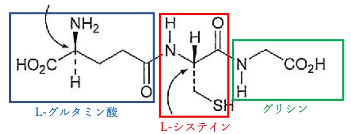 82回薬剤師国家試験問16 glutathione